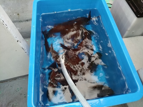 IMG_20190605_060608.jpg